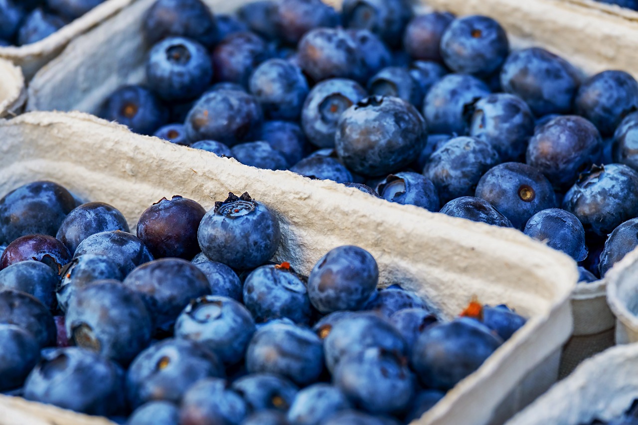 Wholesale Blueberries