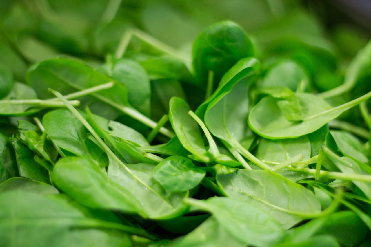 Wholesale Spring Leafy Vegetables