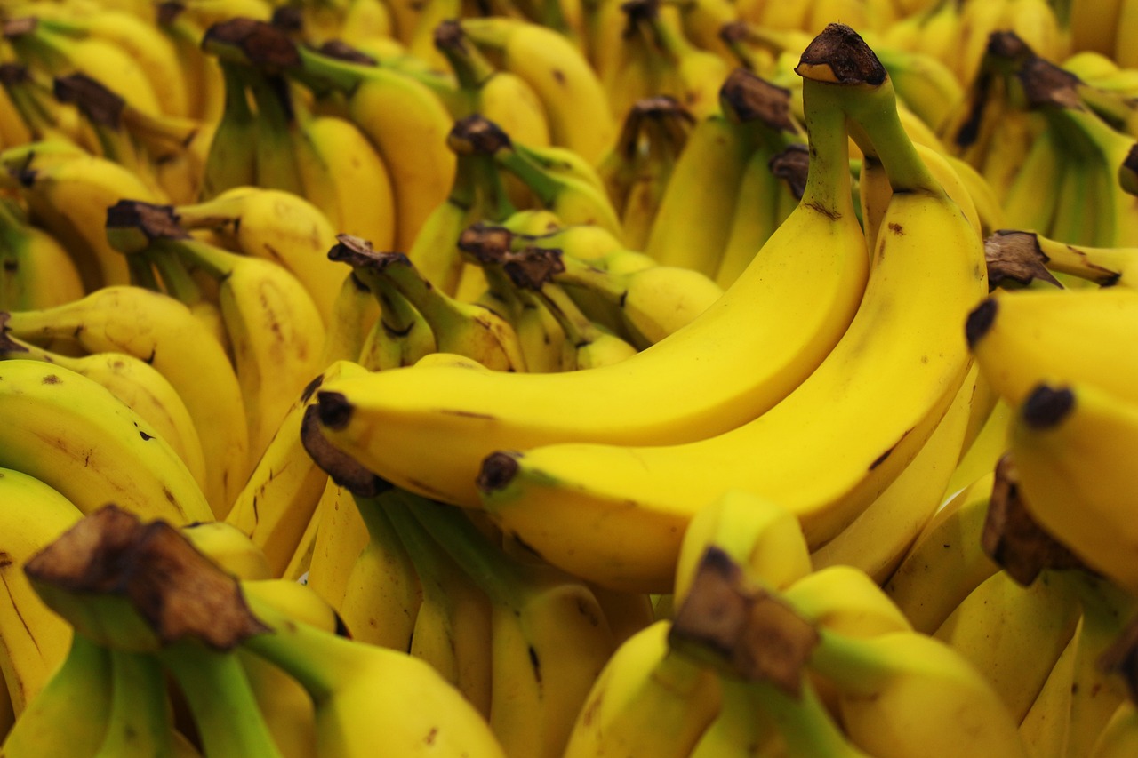 Best Wholesale Bananas