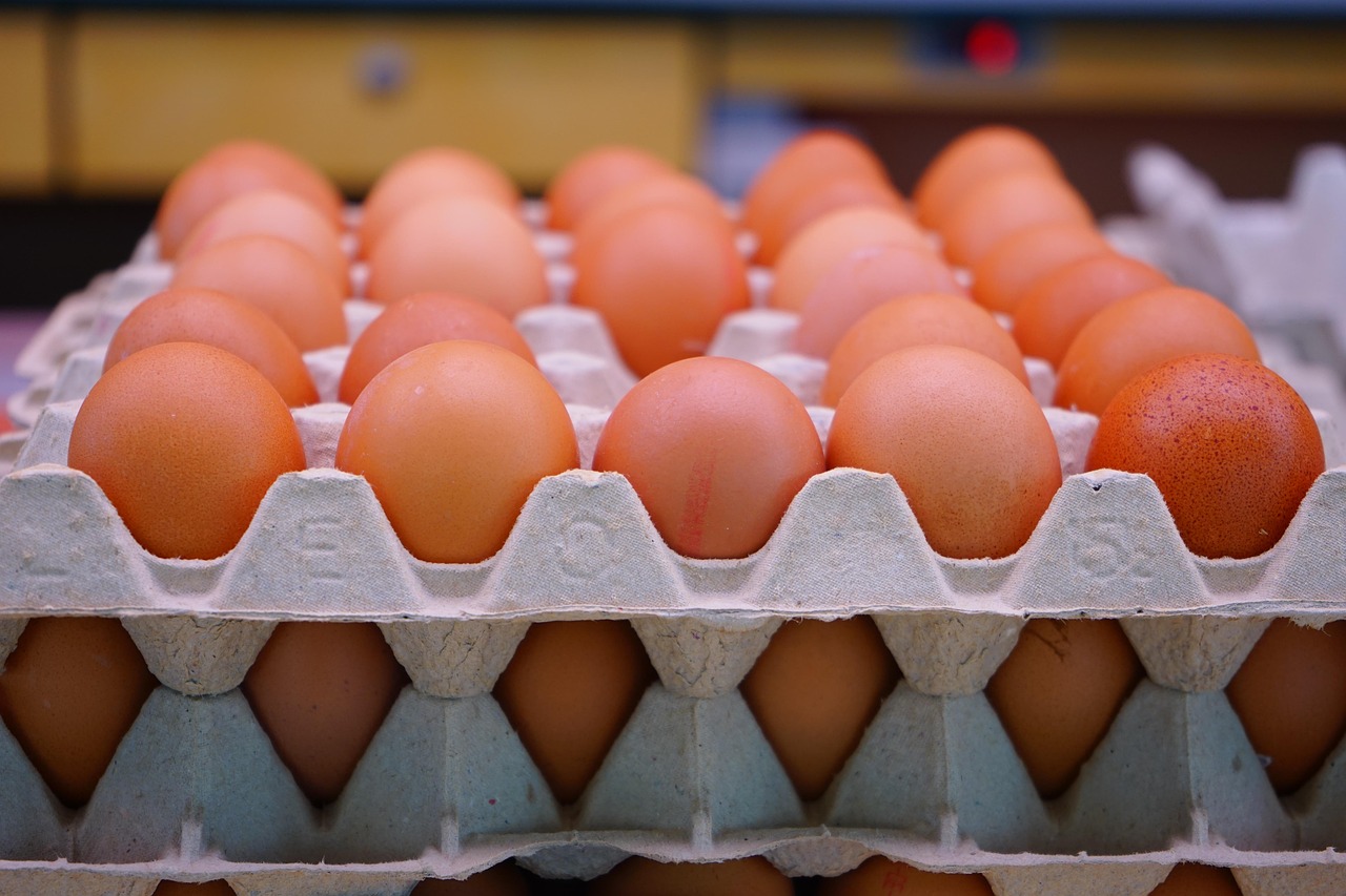 Wholesale Eggs Online