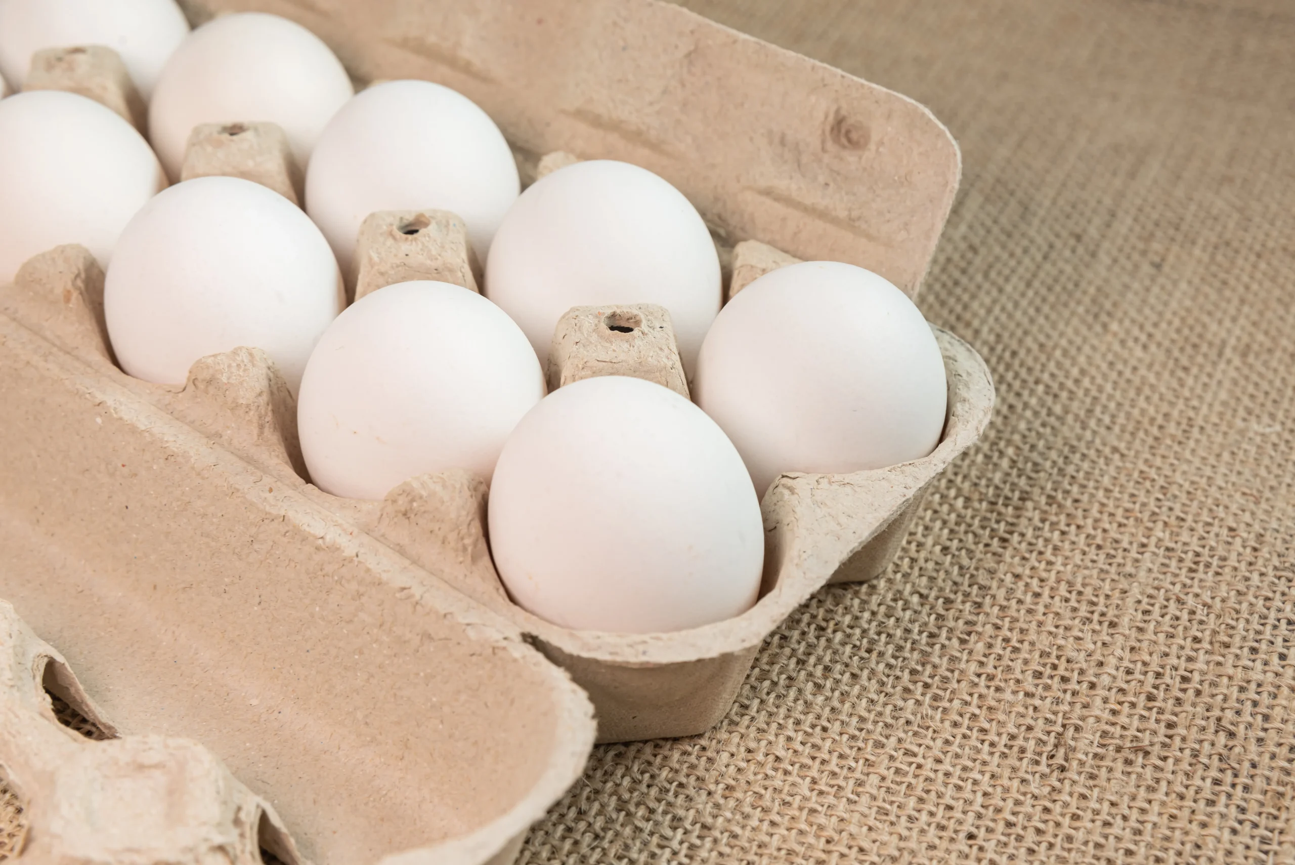 Order Wholesale Fresh Eggs
